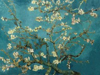 /album/galleria-fotografica/a19610-4332749712760-46388907-n-jpg/