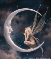 /album/galleria-fotografica/luna-fate-jpg/